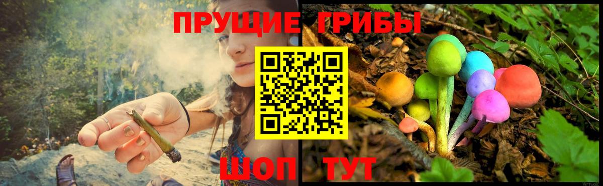 Псилоцибиновые грибы GOLDEN TEACHER  Вход с VPN  наркотики  Тула  Галлюциногенные грибы GOLDEN TEACHER 